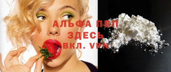 Альфа ПВП Коряжма