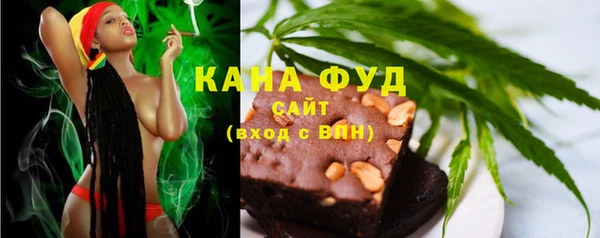 прущие грибы Корсаков