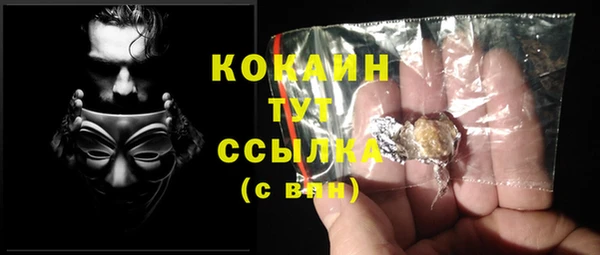 прущие грибы Корсаков
