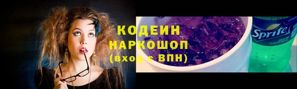 прущие грибы Корсаков