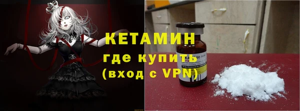 прущие грибы Корсаков
