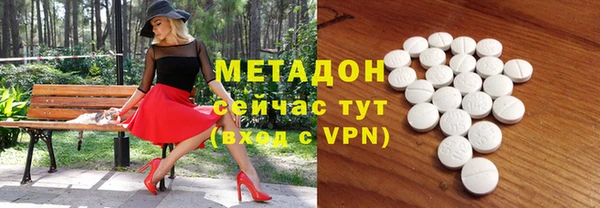 прущие грибы Корсаков