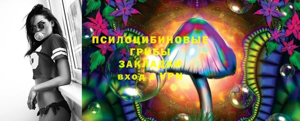 Альфа ПВП Коряжма