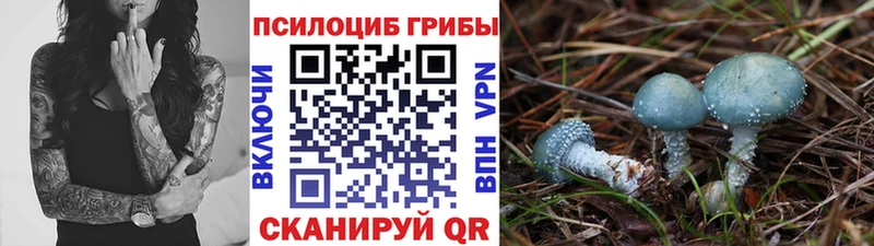 Купить где  Палласовка  Галлюциногенные грибы ЛСД 